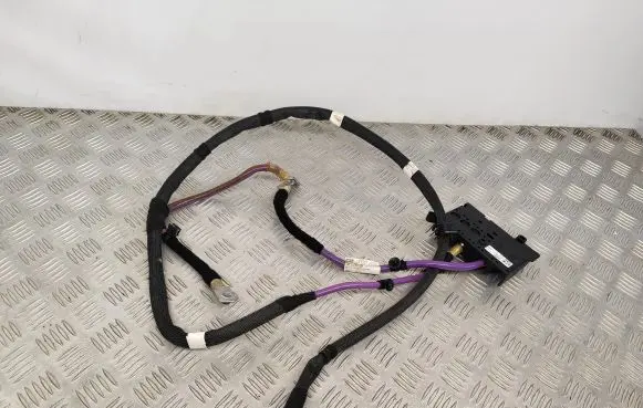 Audi A8 S8 D5 Positive cable (battery) 4N0971227AL 4M0941828J