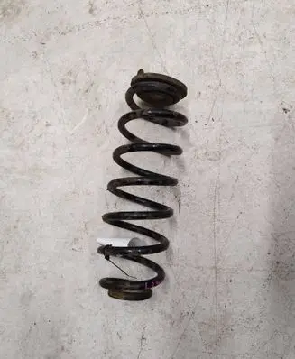 Volkswagen Tiguan Rear coil spring 994364