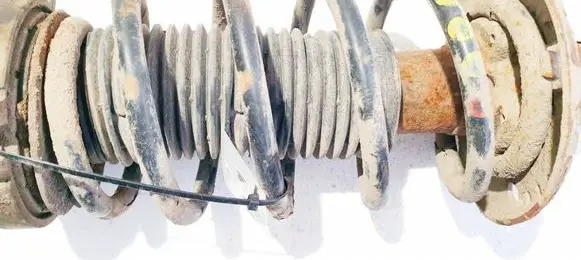 Skoda Roomster (5J) Front coil spring 