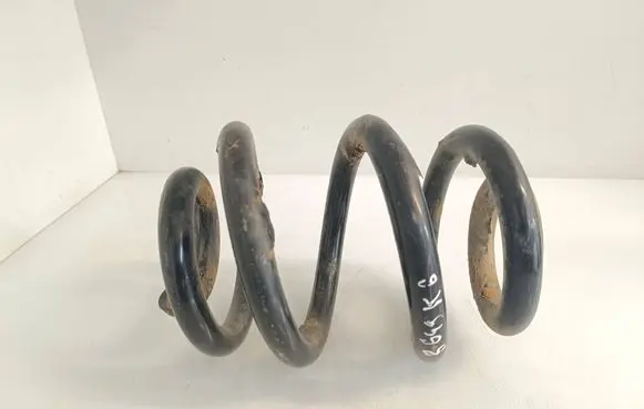 Rear coil spring