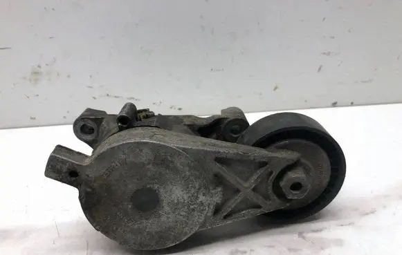 Volkswagen Golf V Generator/alternator belt tensioner 03G903315J
