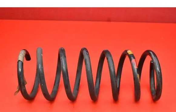 Rear coil spring