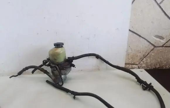 Electric power steering pump