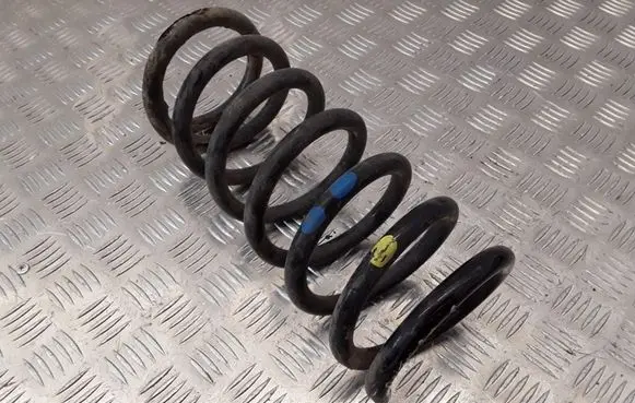 Opel Antara Rear coil spring