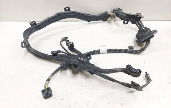 Other wiring loom