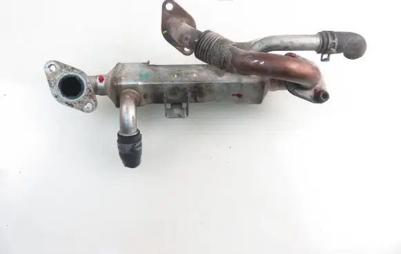 Seat Alhambra (Mk1) EGR valve cooler 038131521E 038131513L