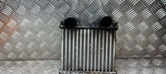 Smart ForFour I Intercooler radiator 0003007V005