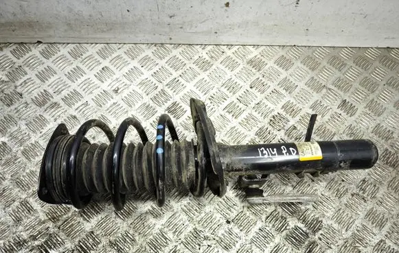 Renault Megane E-Tech Rear shock absorber with coil spring 543028154R 1A102017A