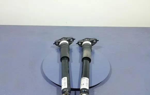 Chevrolet Corsa Rear shock absorber/damper 9837466880