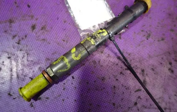Renault Megane II Fuel injector 8200815416