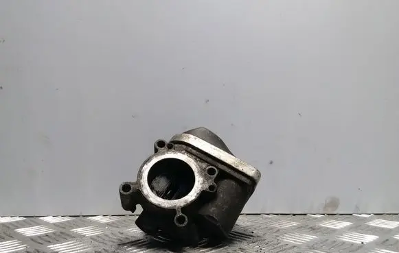 Volkswagen Polo IV 9N3 Electric throttle body valve 036133062N
