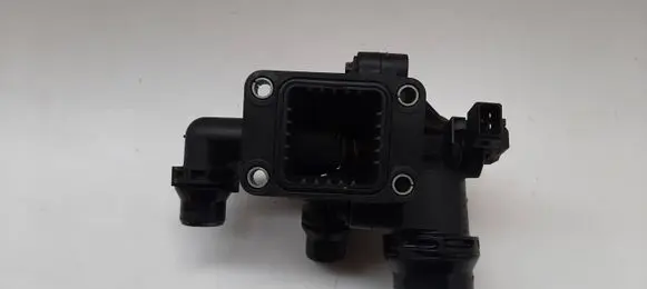 Thermostat/thermostat housing