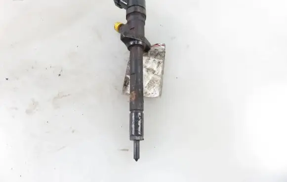 Citroen C8 Fuel injector 9637277980 0445110036