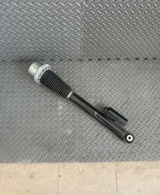 Land Rover Discovery 5 Rear shock absorber/damper MY4218W003AA