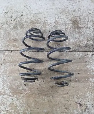 Rear coil spring