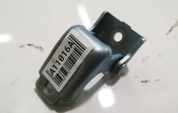 Renault Fluence Rear door lower hinge 804200003