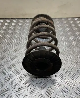 Rear coil spring