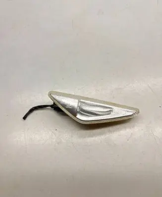 BMW X5 E70 Front fender indicator light 7171007