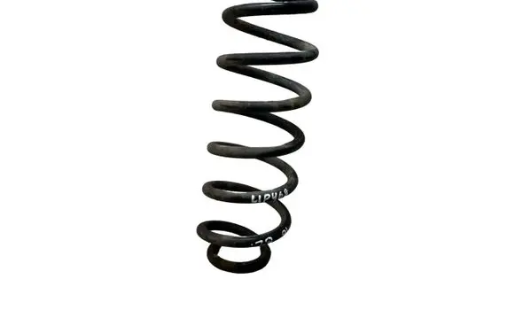 Rear coil spring