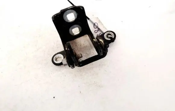 Opel Insignia A Rear door lower hinge