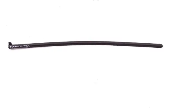Renault Scenic III - Grand scenic III Rear door windshield rail 