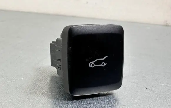 Ford Mondeo MK V Tailgate opening switch DG9T19B514AAW