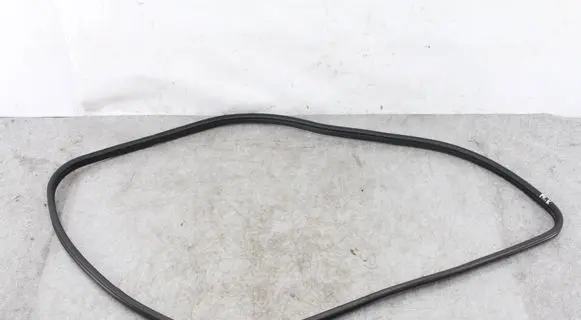 BMW X5M E70 Rubber seal front coupe door 7220381 51767220381