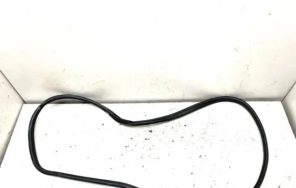 BMW X6 E71 Rubber seal rear door 7305620