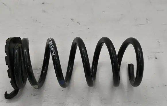 Rear coil spring