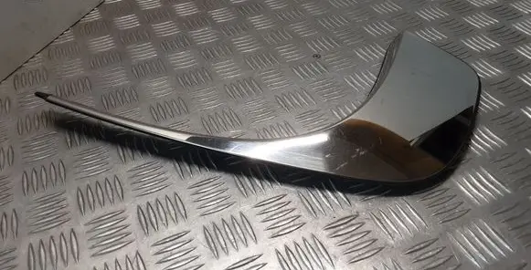 Renault Latitude (L70) Rear side glass trim 788720003R