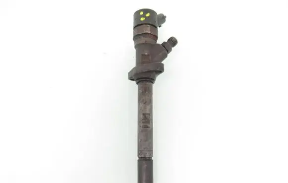 Citroen C8 Fuel injector 9638488980 0445110057