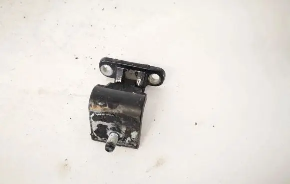 Tailgate/trunk/boot hinge