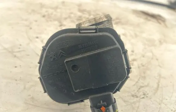 Citroen DS3 Throttle valve 9673534480