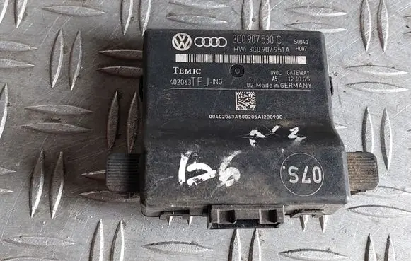 Volkswagen PASSAT B6 Gateway control module 3C0907530C