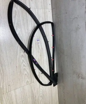 Renault Arkana Rubber seal rear door 