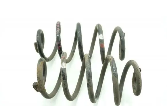 Rear coil spring