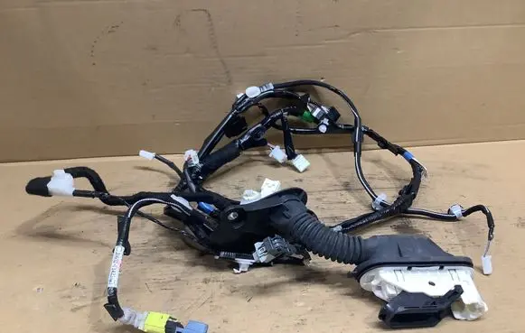 Front door wiring loom