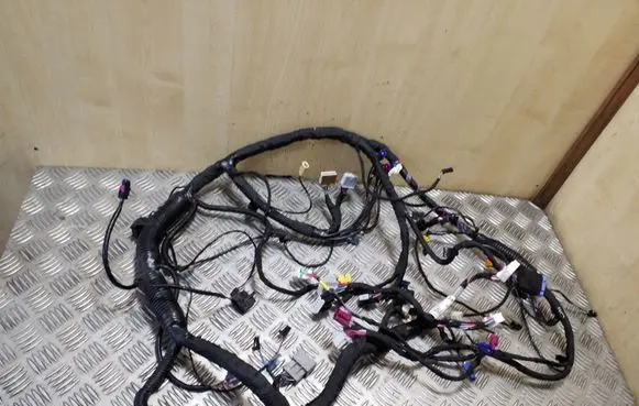 Tesla Model S Other wiring loom 100442202Q