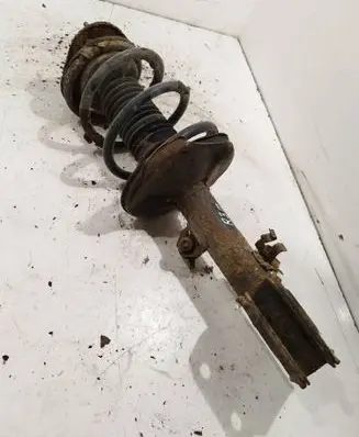 Front shock absorber with coil spring