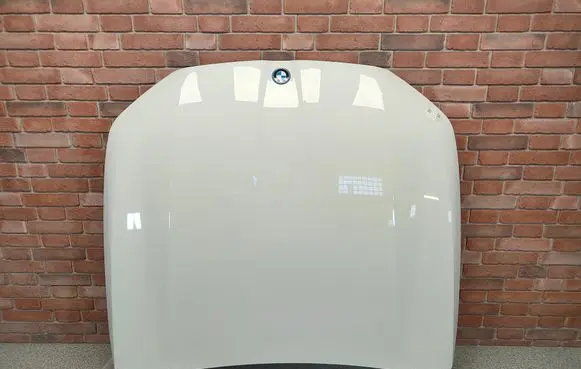 Engine bonnet/hood