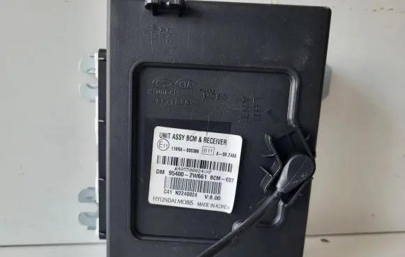 Hyundai Santa Fe Other control units/modules 954002W661