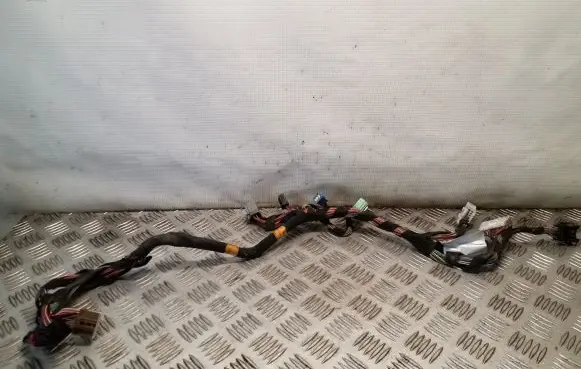 Front door wiring loom