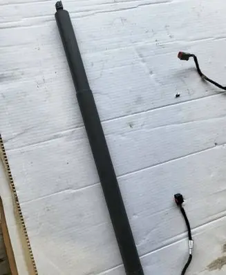 Tailgate/trunk strut/damper