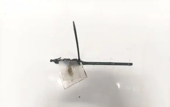 Renault Espace - Grand espace IV Oil level sensor 