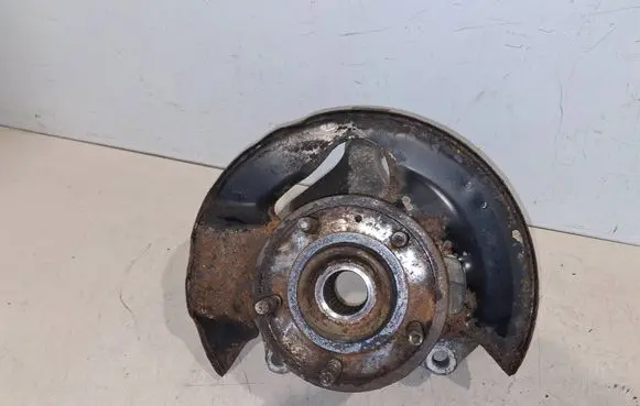 Opel Antara Rear wheel hub 21975670 7121901 1021213