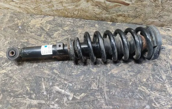 KIA Sorento Front shock absorber with coil spring 546403E023