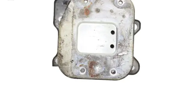 Chevrolet Captiva Front bumper shock/impact absorber 