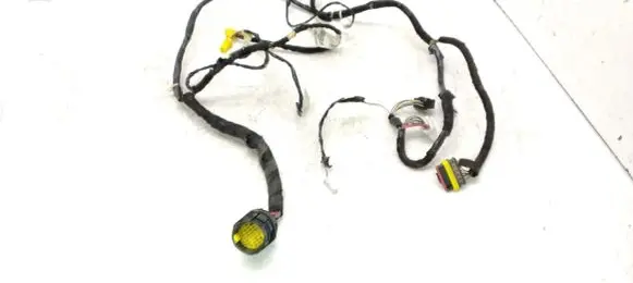 Front door wiring loom