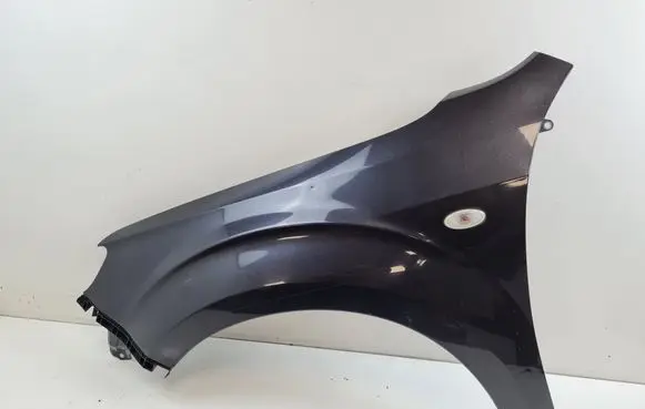 Subaru Forester SG Fender