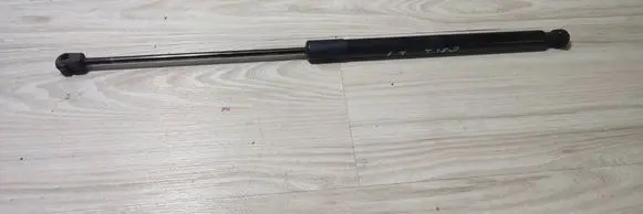 Tailgate/trunk strut/damper
